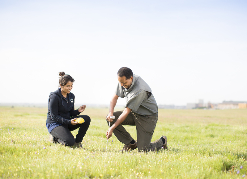 Life & Environmental Sciences - sampling nearby soil at UC Merced