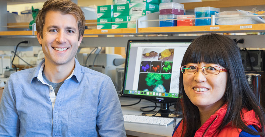 Professor Gordon Bennett and postdoctoral researcher Meng Mao