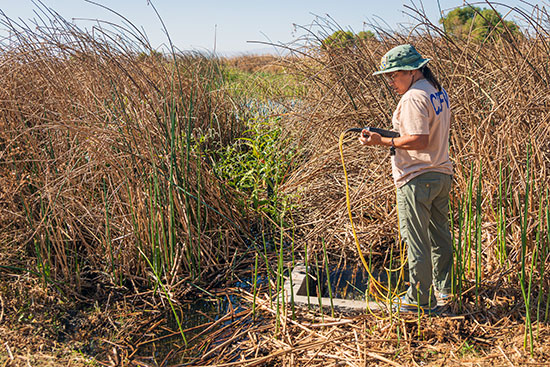 Studying and analyzing the wetlands near UC Merced