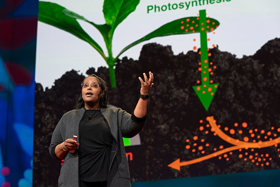 Professor Berhe delivers her TED Talk