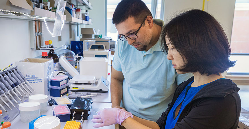 Professor Jing Xu, right, and student Arturo Zaragoza are studying molecular motors.
