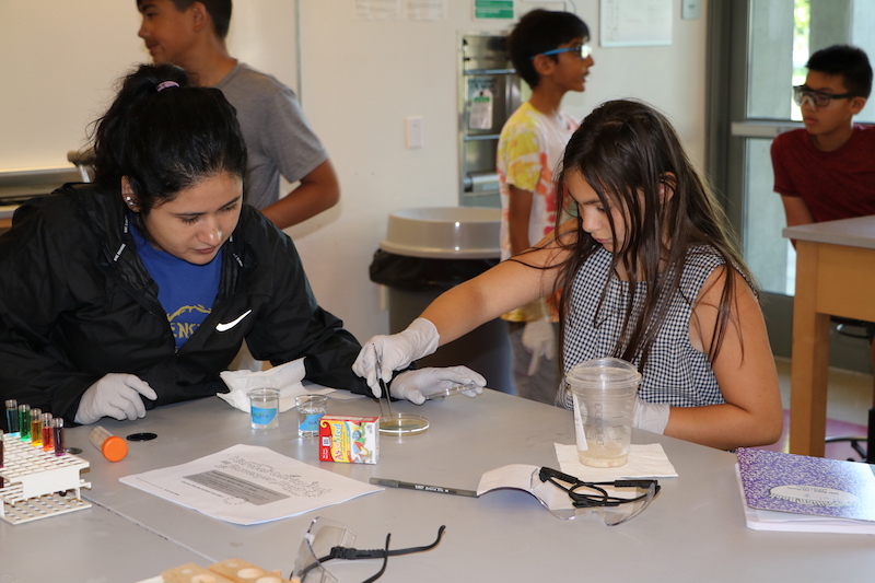 Bobcat Summer STEM Academy