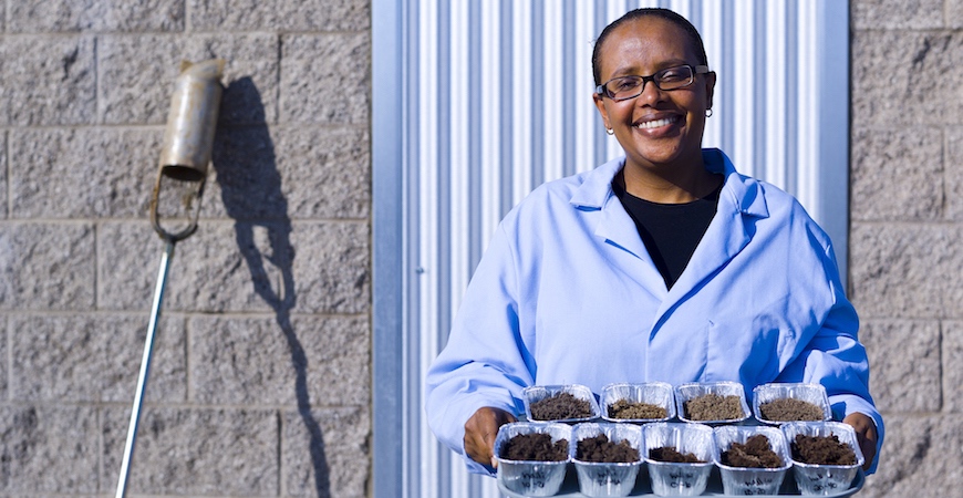 Professor Asmeret Asefaw Berhe stands in front of a wall wearing a light blue lab coat and holding a tray of cake tins filled with soil samples.