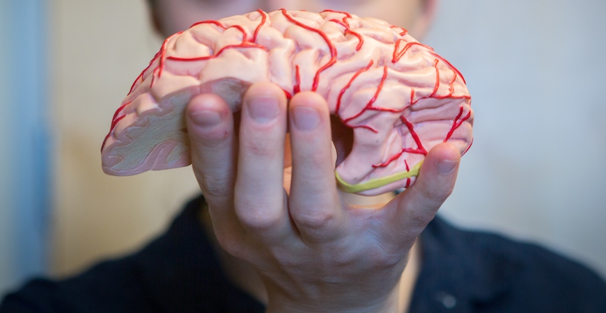 A human hand holding half of a brain.