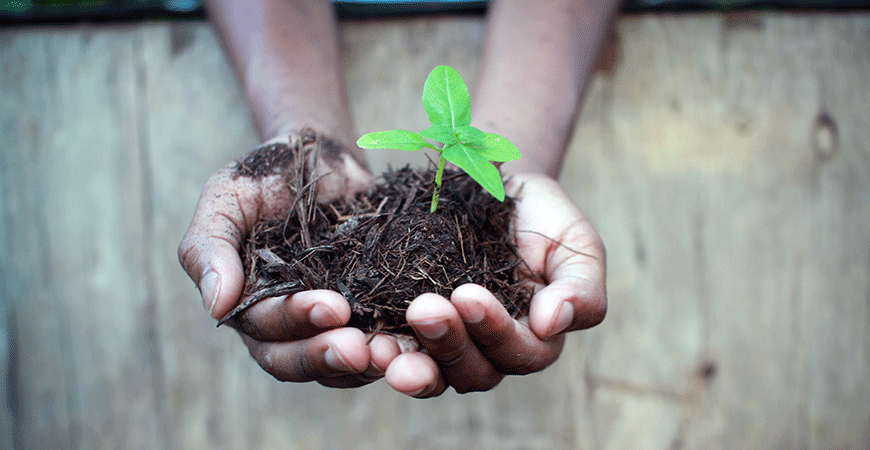 Hands holding compost waste