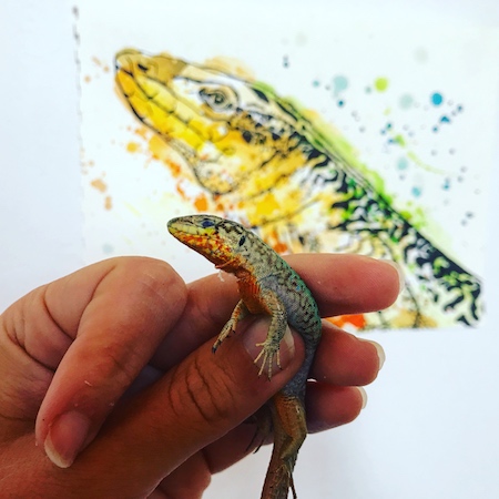 A left hand holding a small lizard in front of a larger drawing of the lizard.