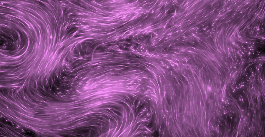 An active nematic moves and changes form using its own stored energy. Purple in color.