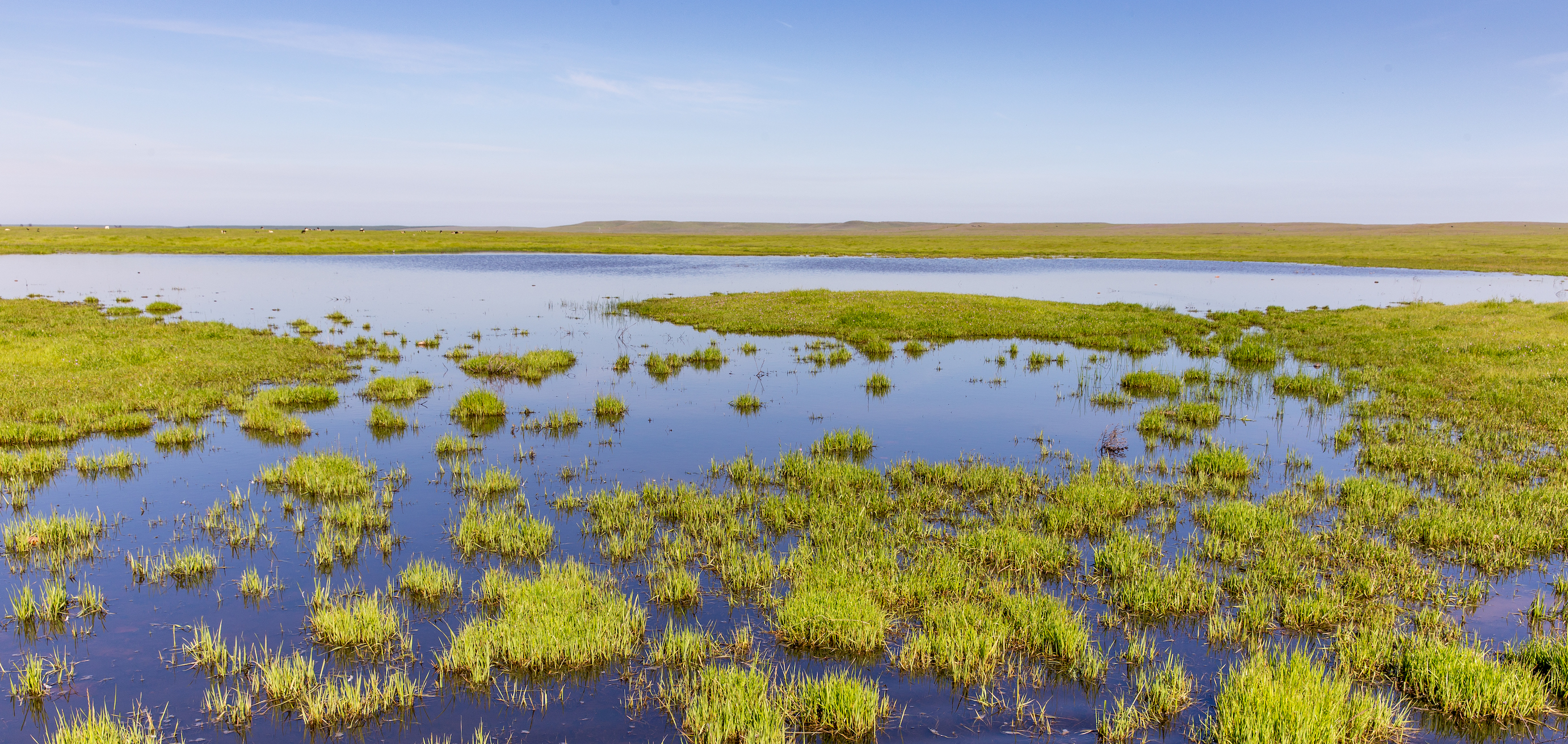 UC Merced Vernal Pools