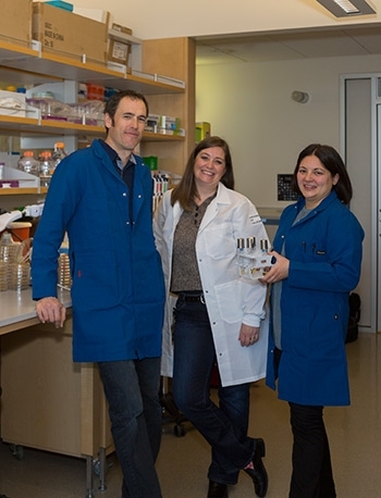 Professors Hernday, Hoyer and Nobile (from left to right) play integral roles in a new Valley fever research project.